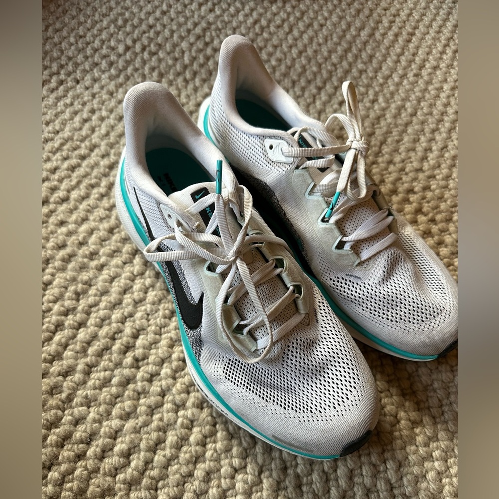 Nike Pegasus